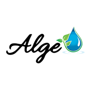 Alge