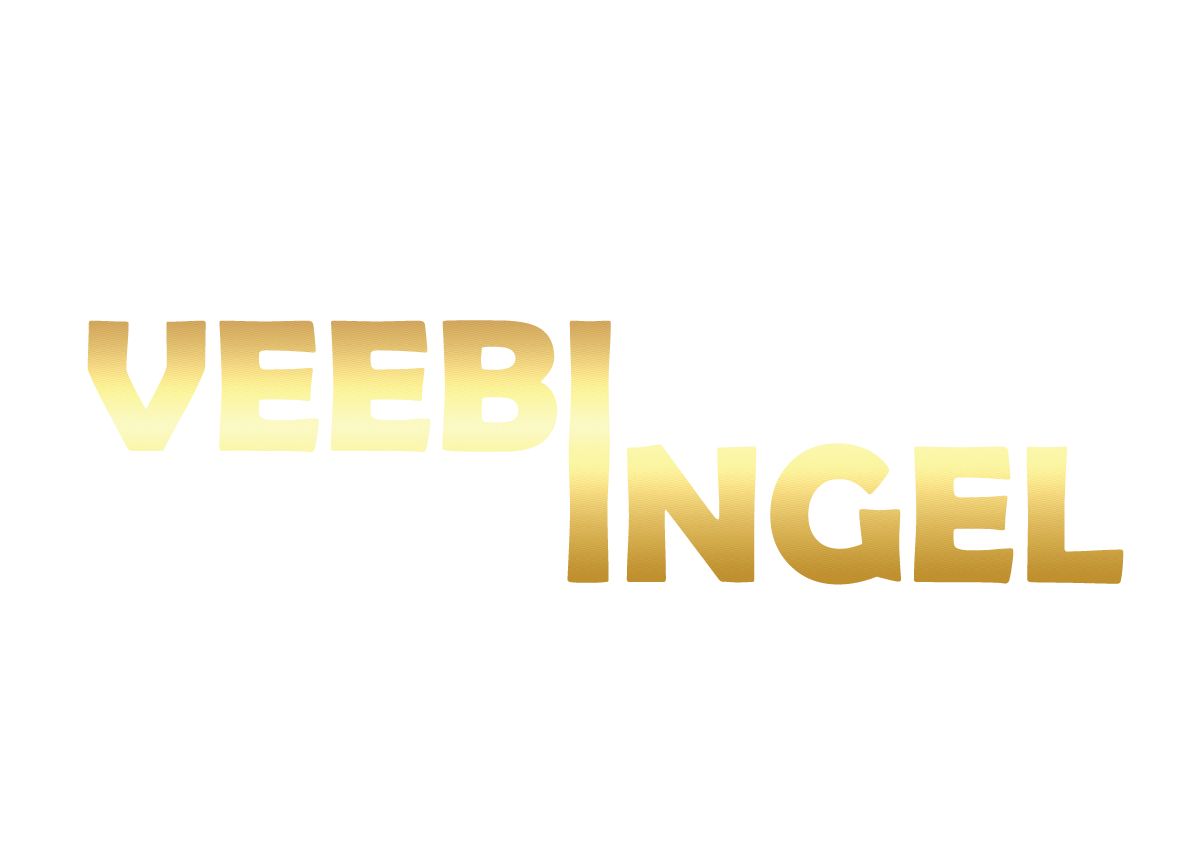 Veebi ingel